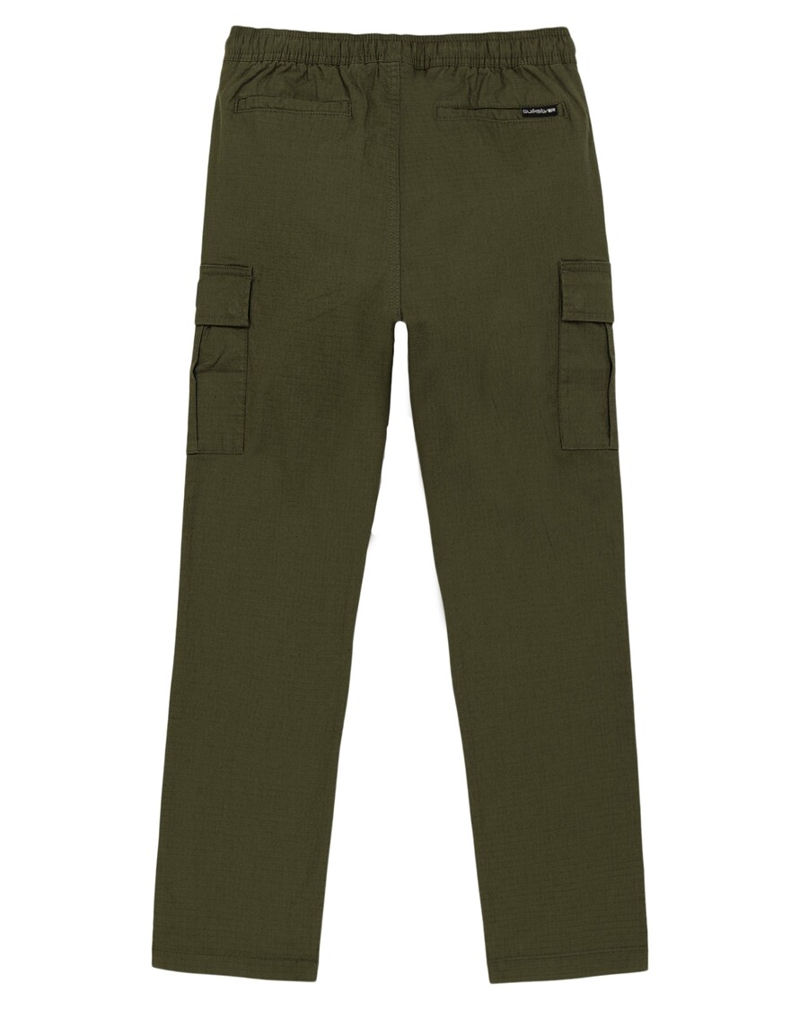 Quik Silver Boys 8-16 DNA Beach Cargo Pants - Grape Leaf