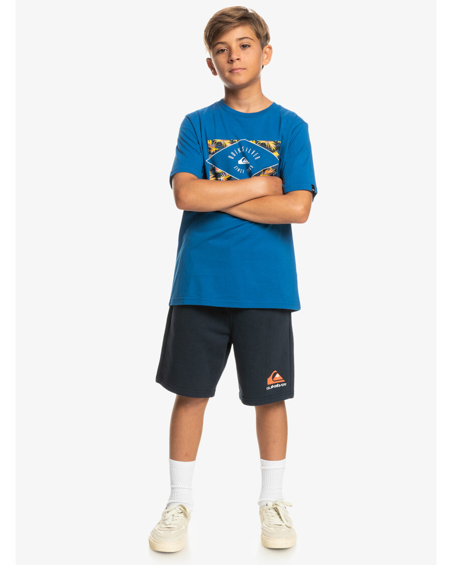 Quiksilver Boys 8-16 Easy Day Joggers - Navy Blazer