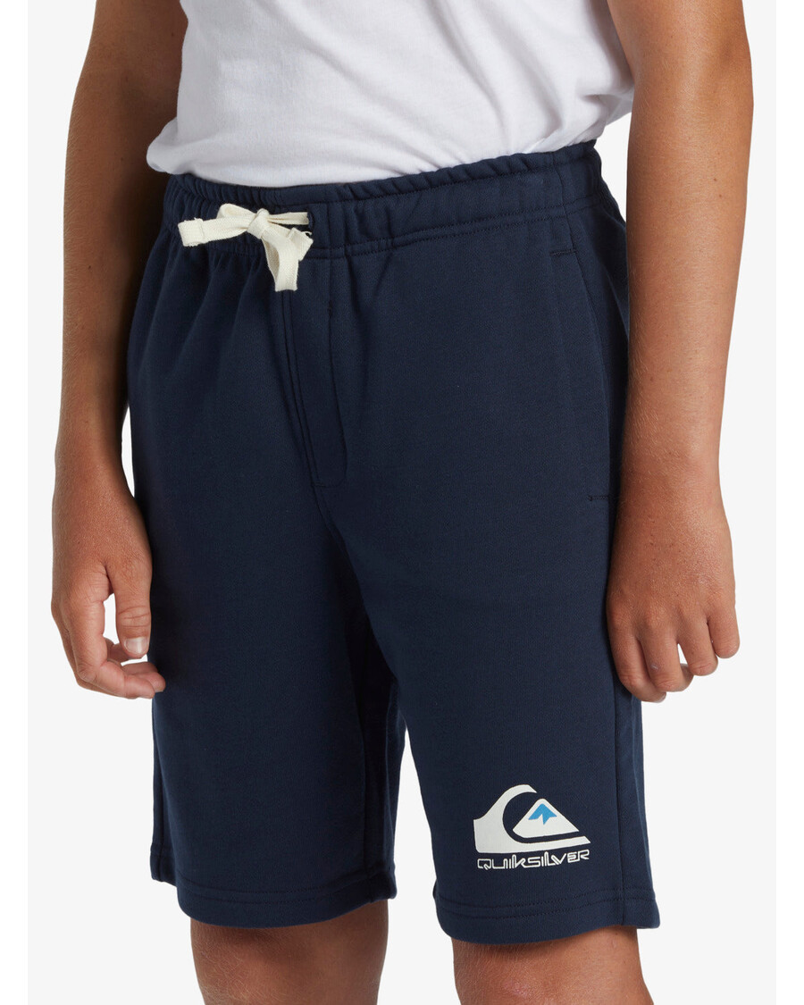 Quiksilver Pojkar 8-16 Lätt Dag Jogger Korta Träningsbyxor -