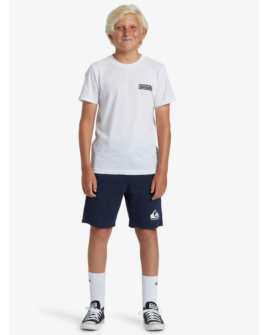 Quiksilver Pojkar 8-16 Lätt Dag Jogger Korta Träningsbyxor -