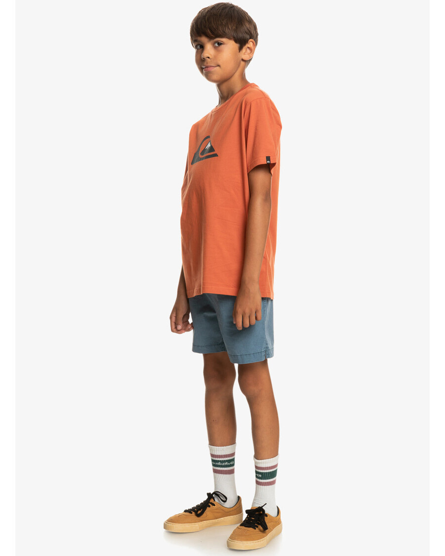 Quik Silver Boys 8-16 Taxer 15" Elastic Waist Shorts - Bering Sea