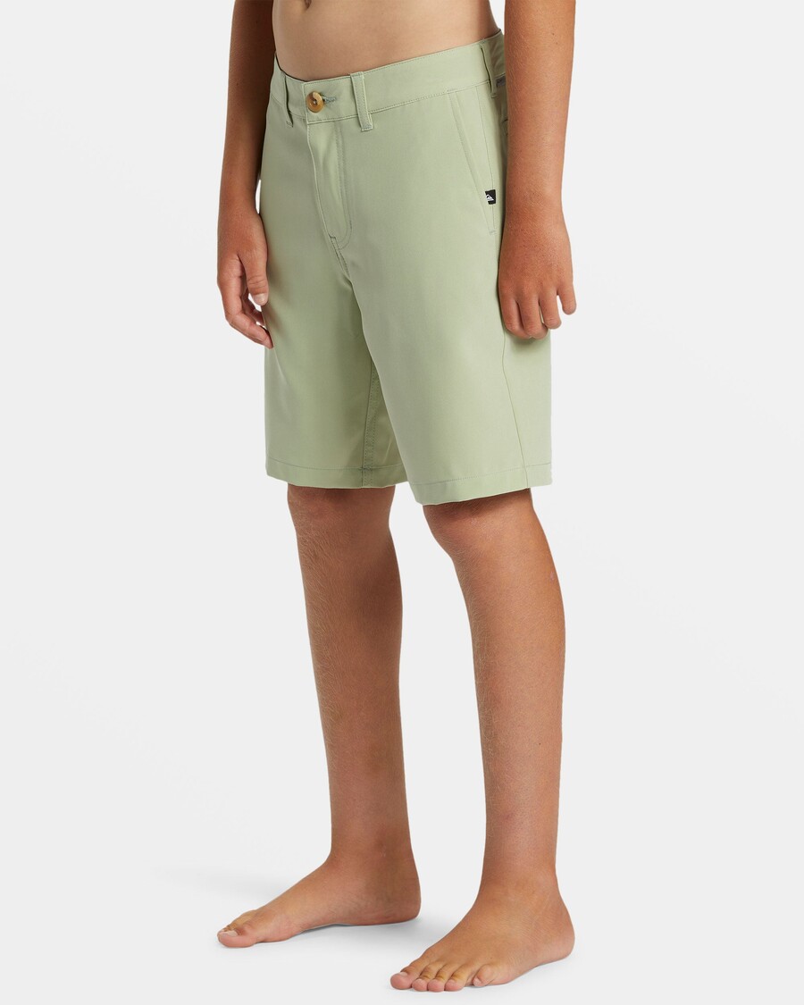 Quiksilver Poikien 8-16 Union Amphibian 17" Hybridishortsit - Desert Sage