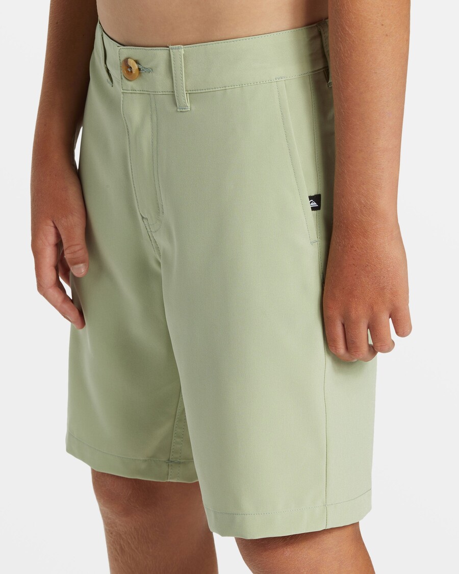 Quiksilver Poikien 8-16 Union Amphibian 17" Hybridishortsit - Desert Sage