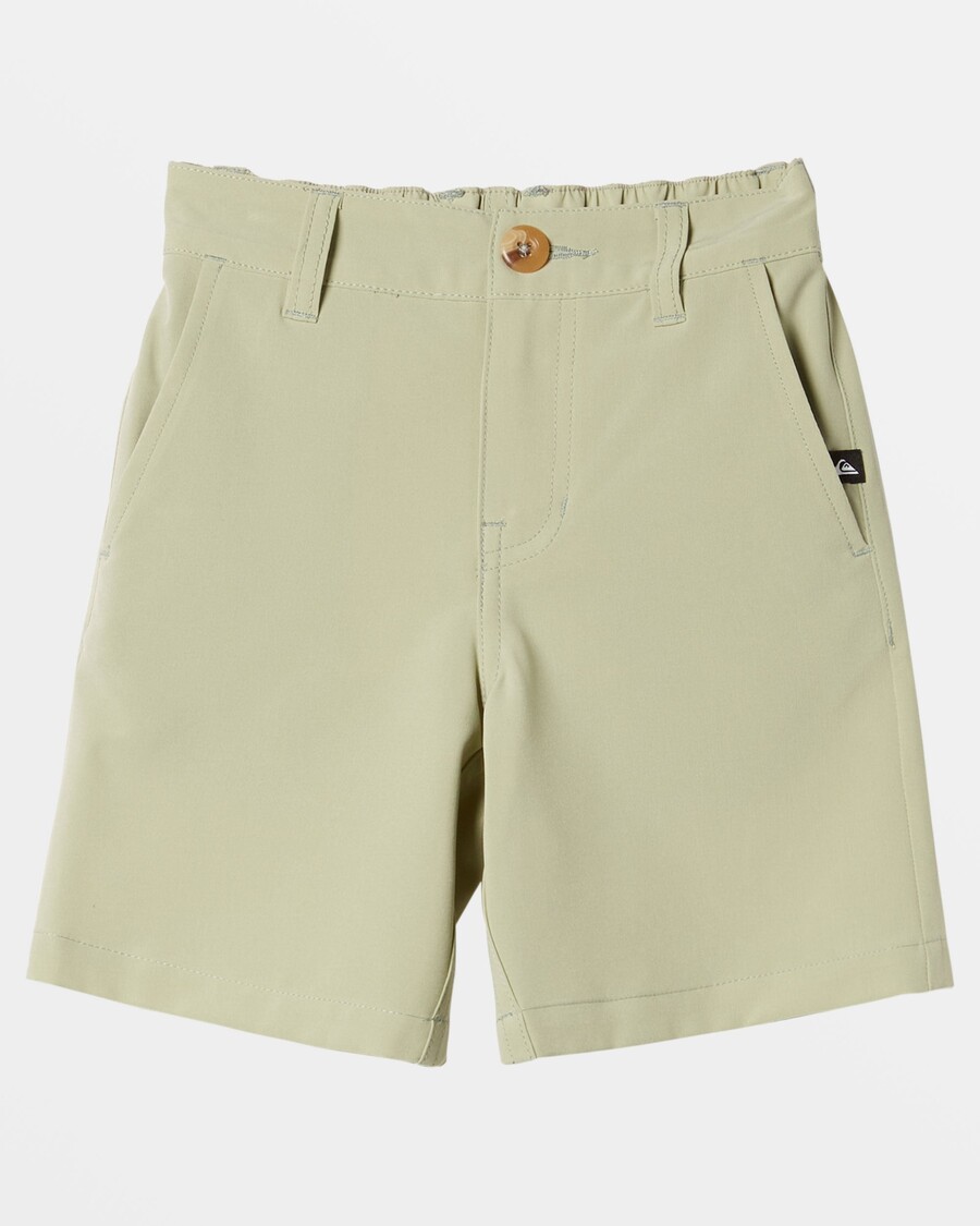 Quiksilver Boys 2-7 Union Amphibian 13" Hybridishortsit - Desert Sage