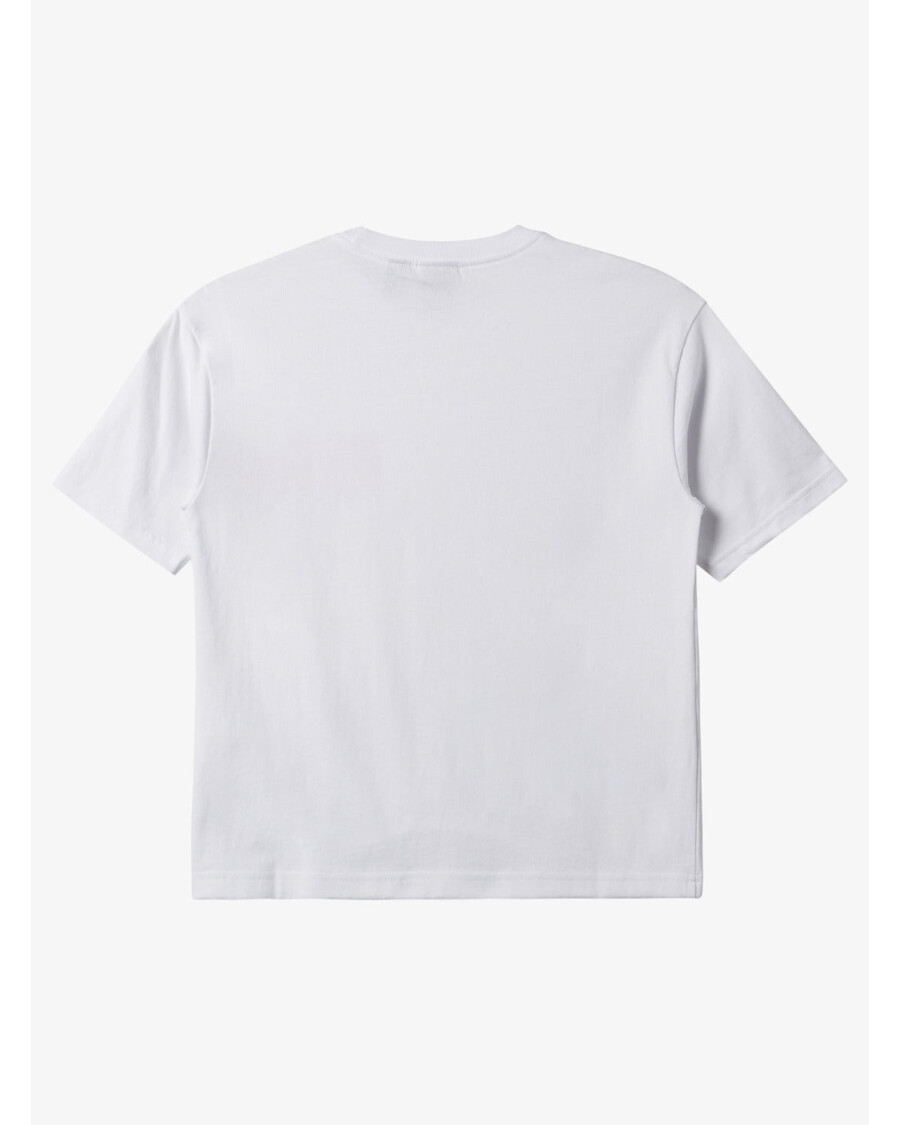 Quik Silver Boys 8-16 Surf T-Shirt - White