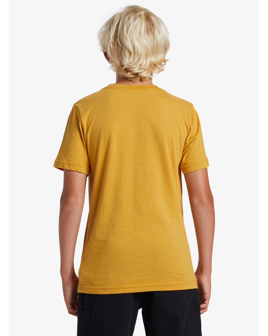 Quiksilver Pojat 8-16 Dala Jungle T-paita - Sinappi