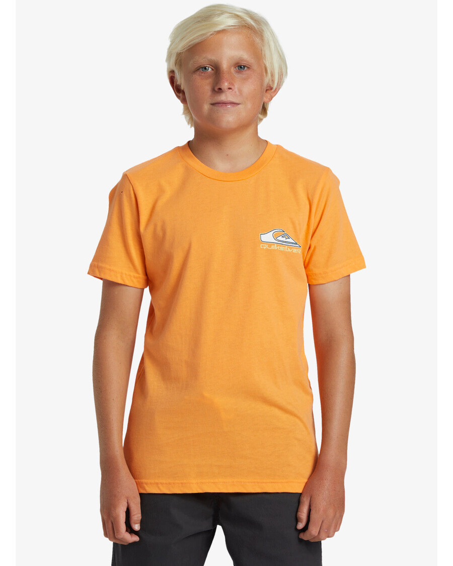 Quiksilver Majica Za Dječake 8-16 Step Up - Mandarina