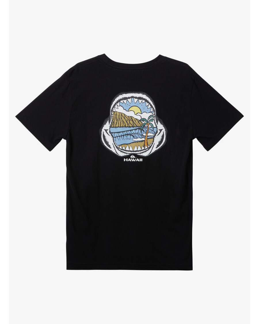 Quik Silver Boys 8-16 Hawaii Keep In Rhythm Youth T-Shirt - Black