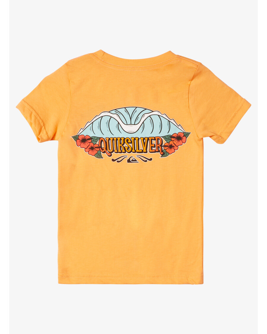 Quiksilver Boys 2-7 Tropical Fade T-paita - Mandariini