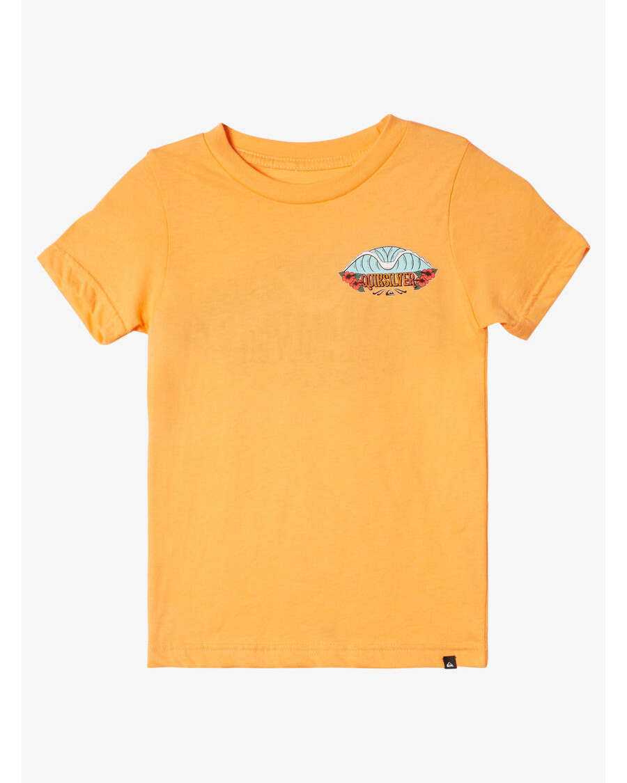 Quiksilver Boys 2-7 Tropical Fade T-paita - Mandariini