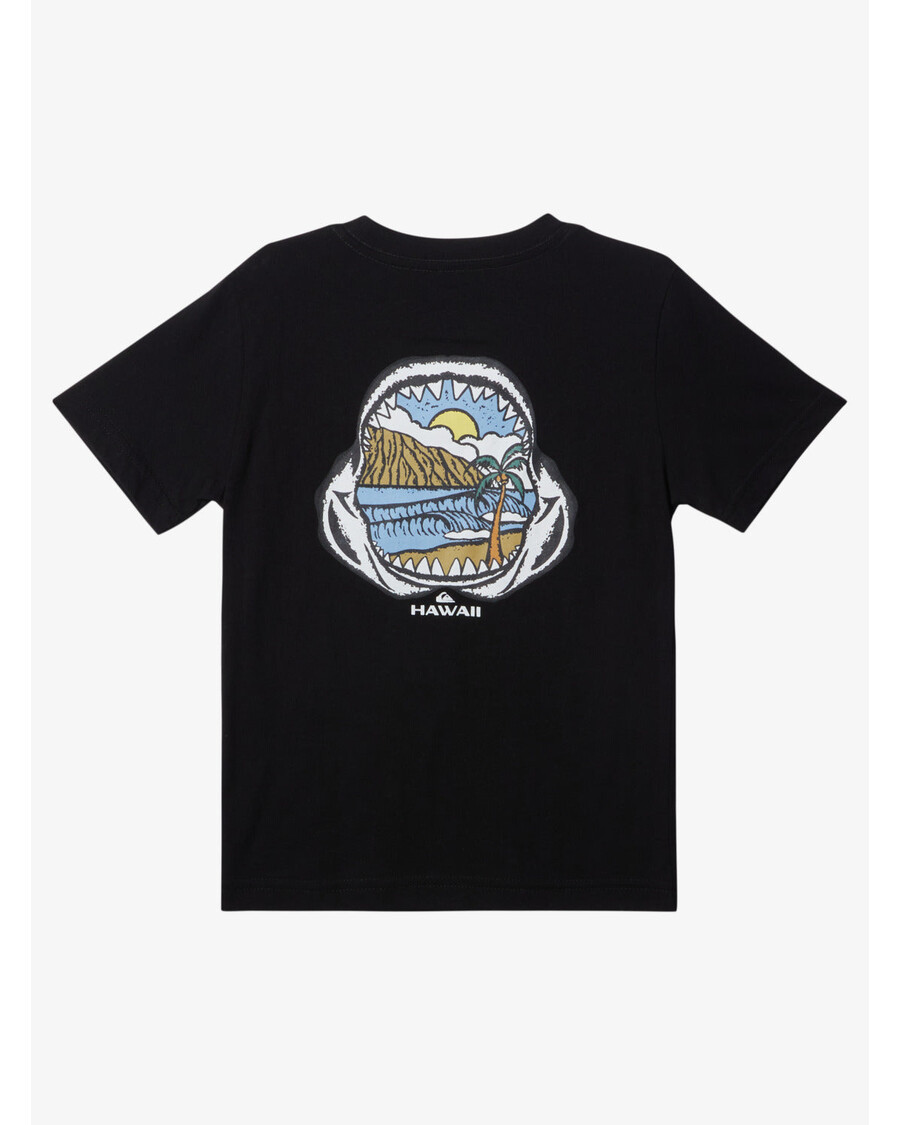 Футболка для мальчика Quiksilver Boys 2-7 «Hawaii Keep In Rhyth» — черная