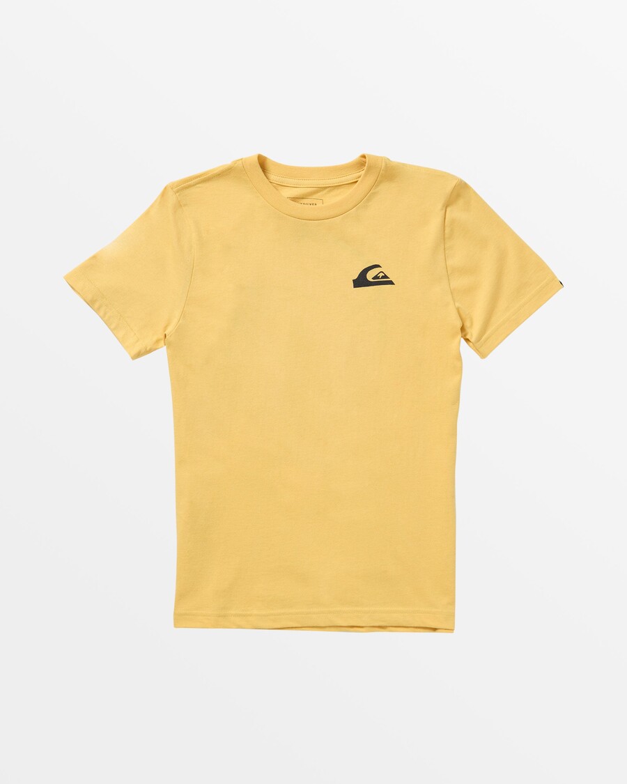 Quiksilver Boys 8-16 Eternal Shred T-paita - Okra