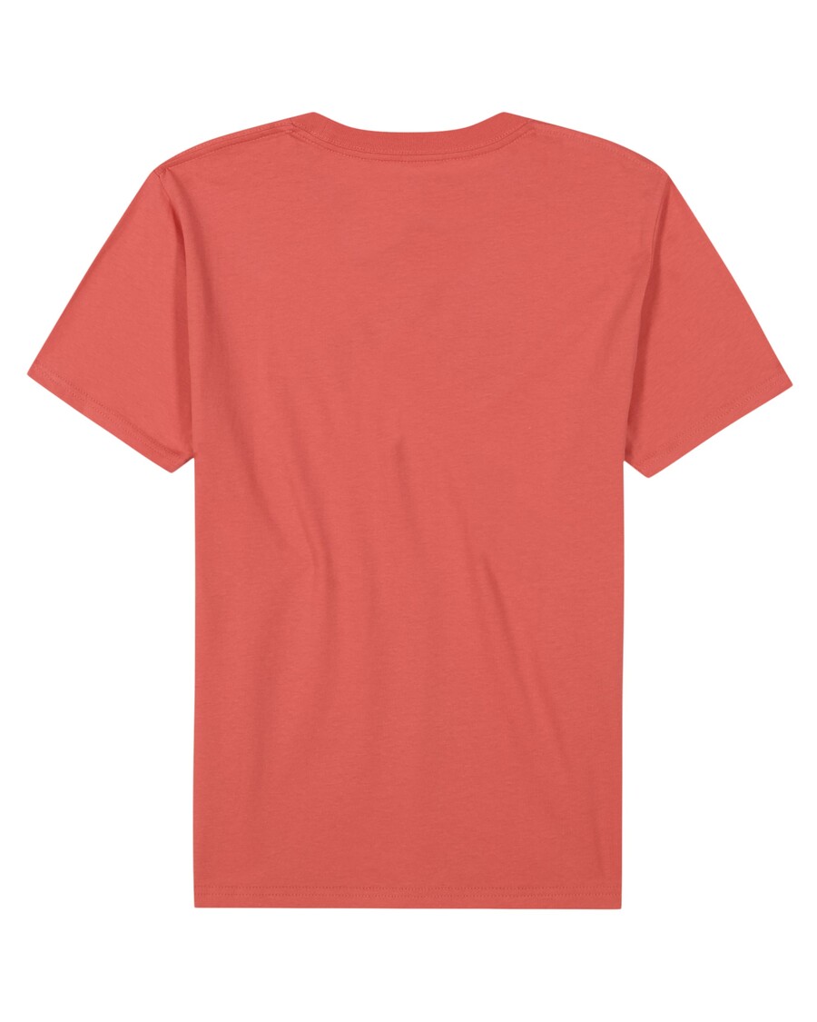 Camiseta Quiksilver Omni Wave Para Niños 8-16 - Coral Especiado