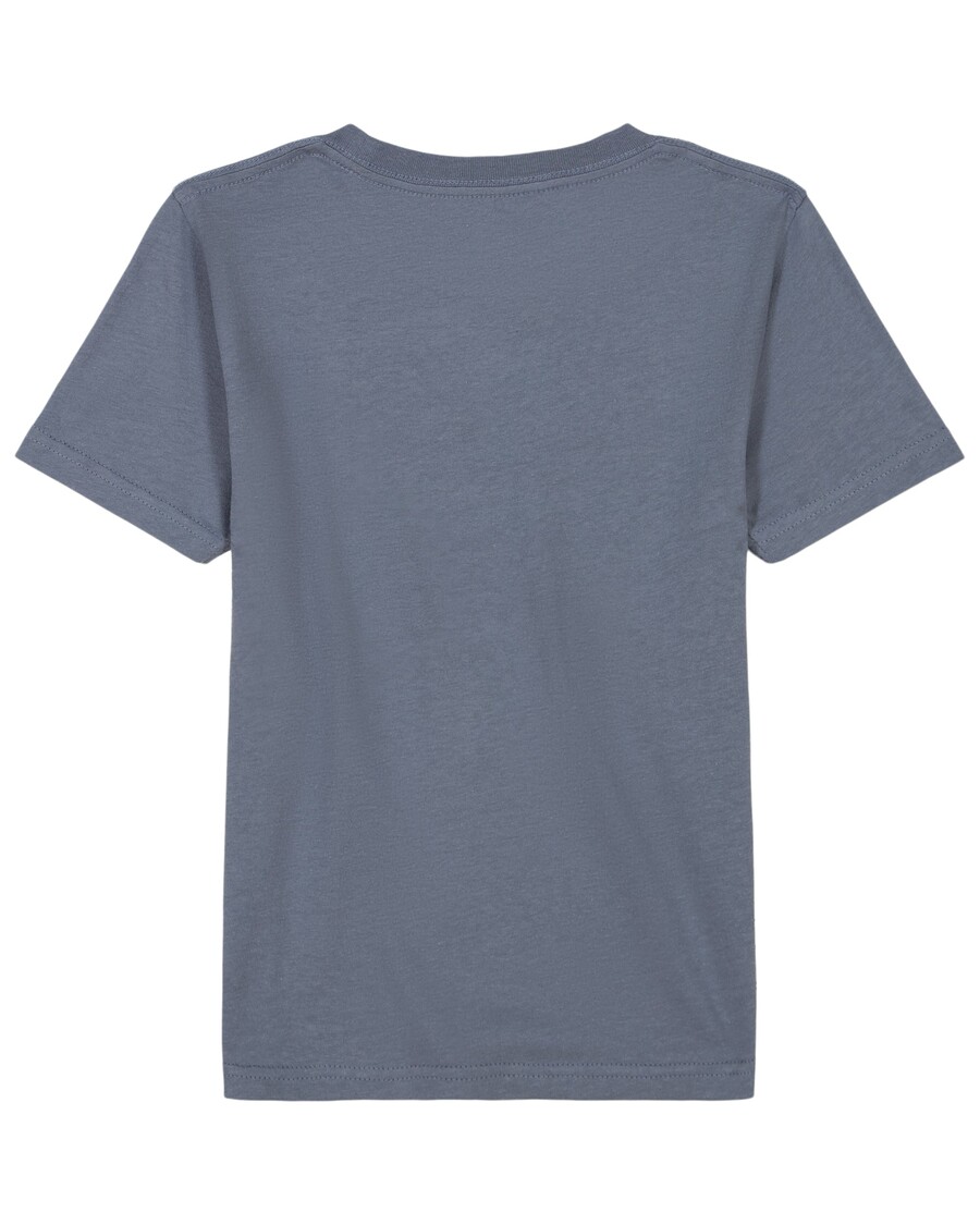 חולצת טריקו Quiksilver Boys 2-7 Range Life - אבן צור