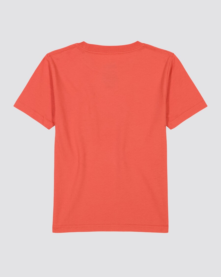 Quik Silver Boys 8-16 Retro Skull T-Shirt - Spiced Coral