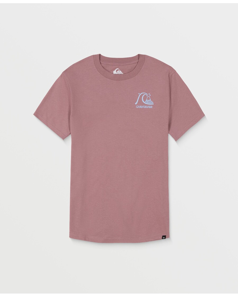 Camiseta Quiksilver Omni Check Para Niños 8-16 - Grape Shake