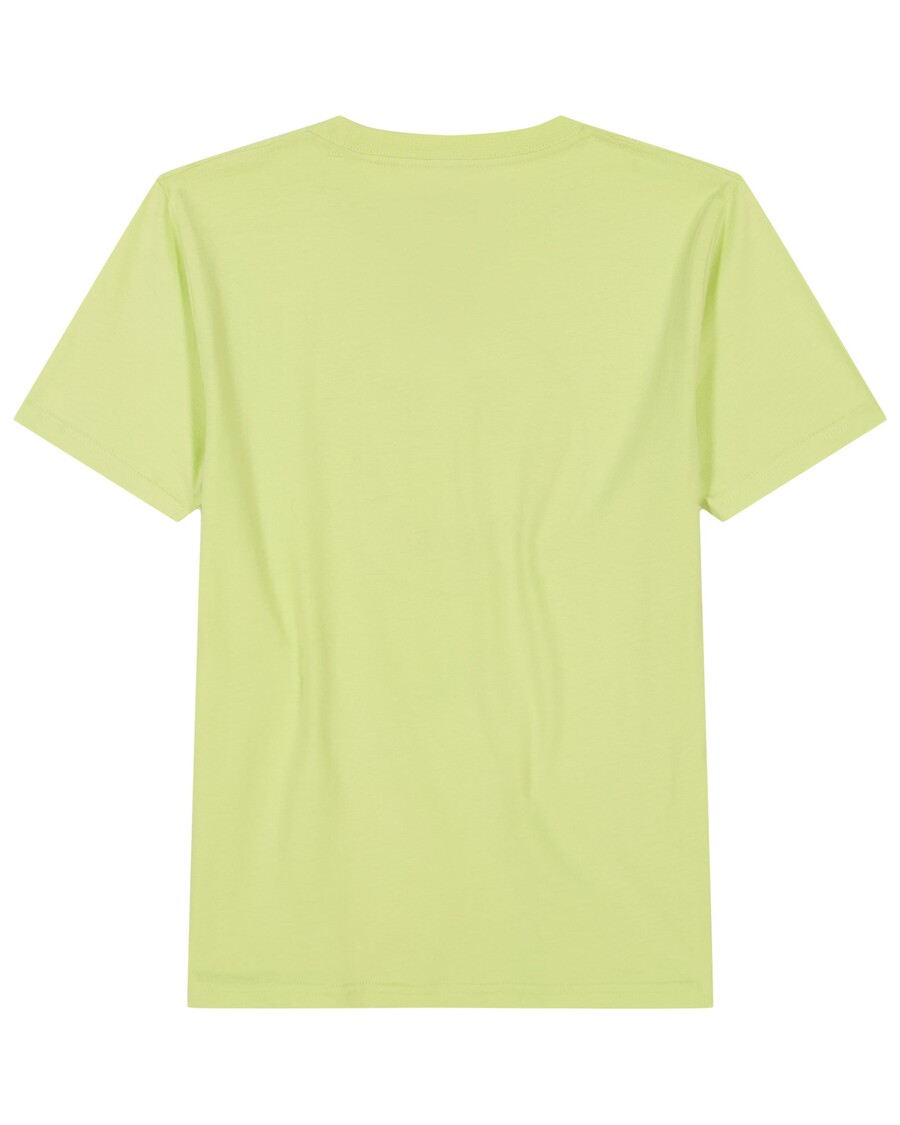 Quiksilver Boys 8-16 Smiley Palms T-paita - Shadow Lime