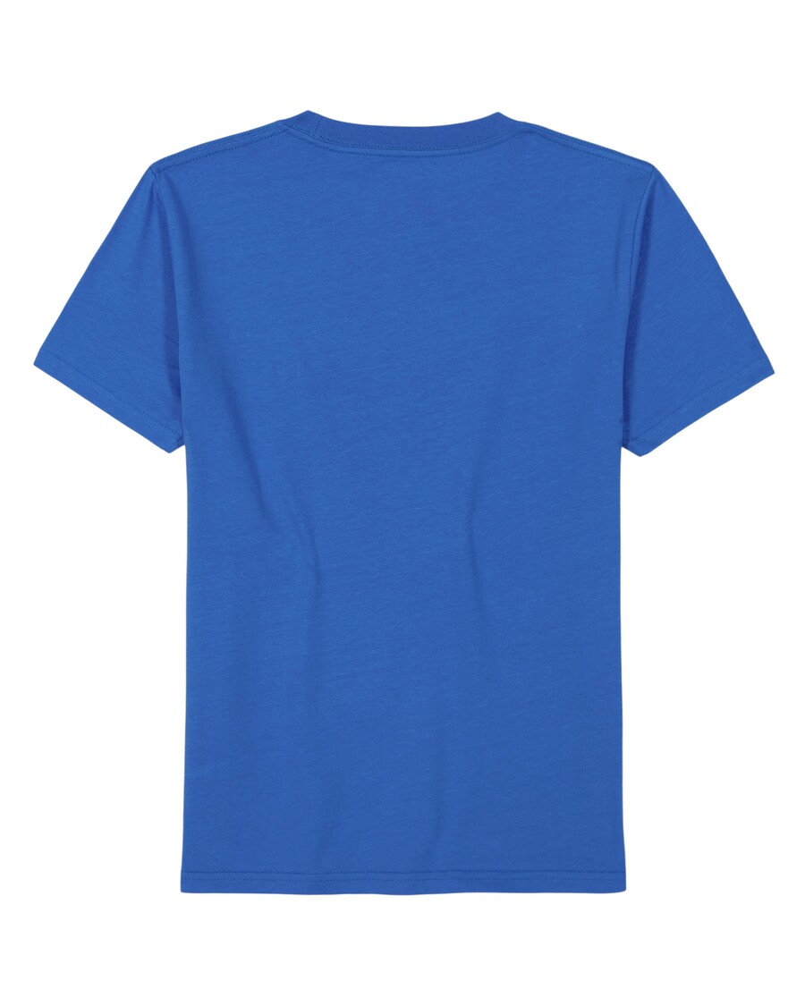 Quiksilver Boys 8-16 Aaltoileva Shred T-paita - Nebulas Sininen