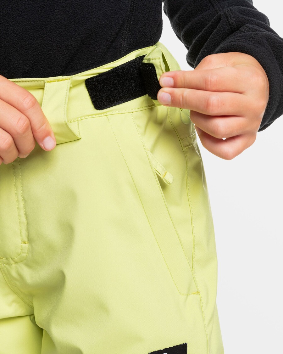 Зимние штаны Quiksilver для мальчиков 8–16 лет — цвет сельдерея