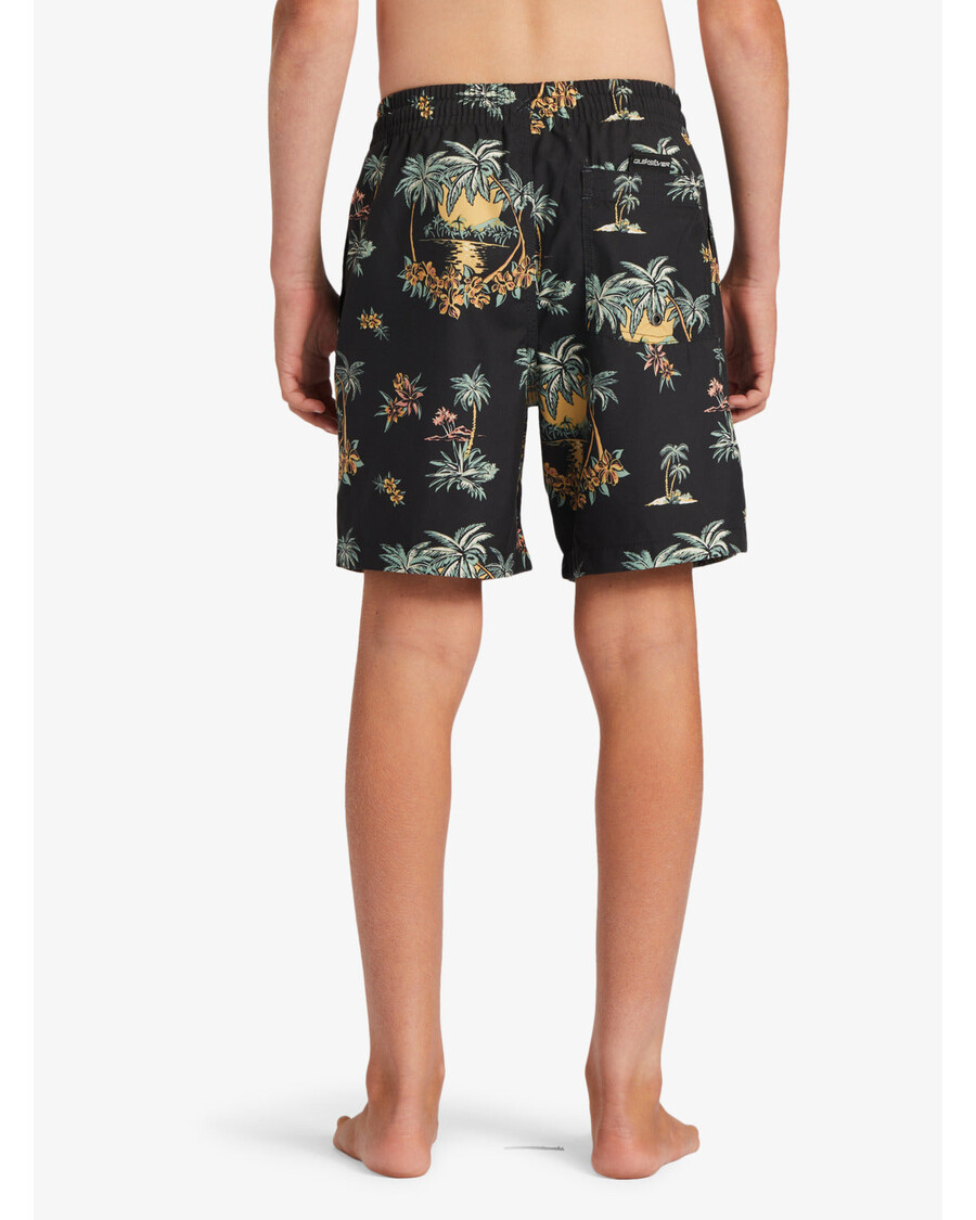 Quik Silver Boys 8-16 Everyday Mix Vl 15Nb Swim Trunks - Black Palm Spritz