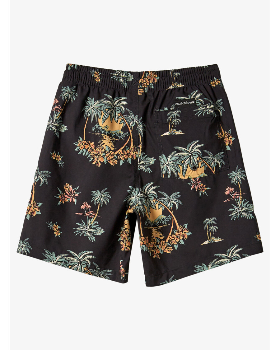 Quik Silver Boys 8-16 Everyday Mix Vl 15Nb Swim Trunks - Black Palm Spritz