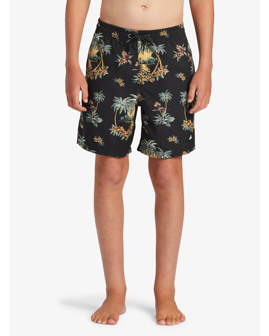 Quik Silver Boys 8-16 Everyday Mix Vl 15Nb Swim Trunks - Black Palm Spritz