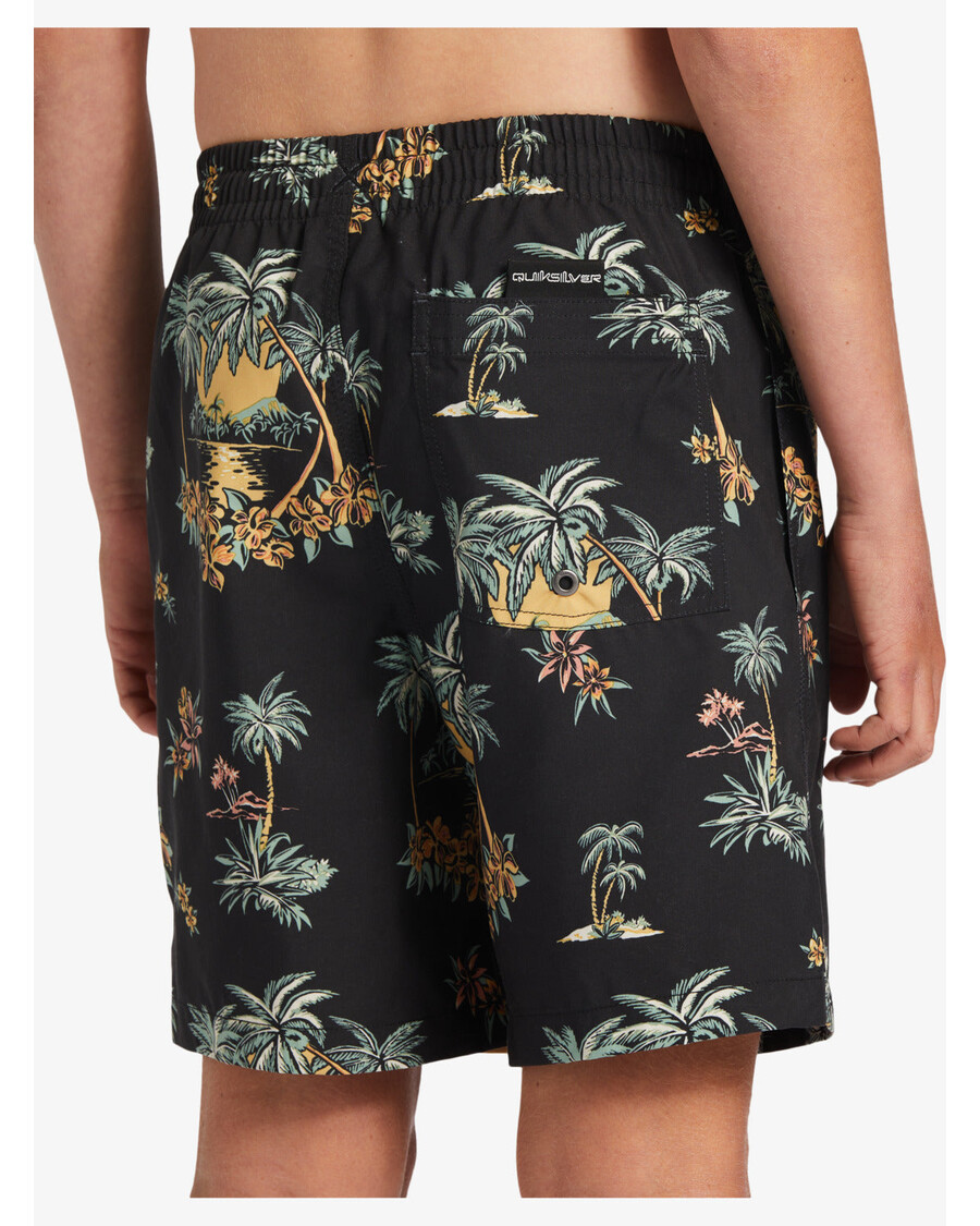Quik Silver Boys 8-16 Everyday Mix Vl 15Nb Swim Trunks - Black Palm Spritz