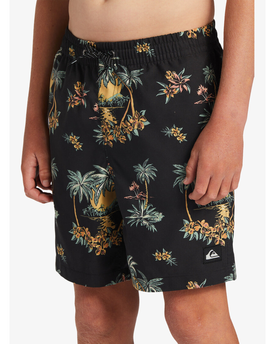 Quik Silver Boys 8-16 Everyday Mix Vl 15Nb Swim Trunks - Black Palm Spritz