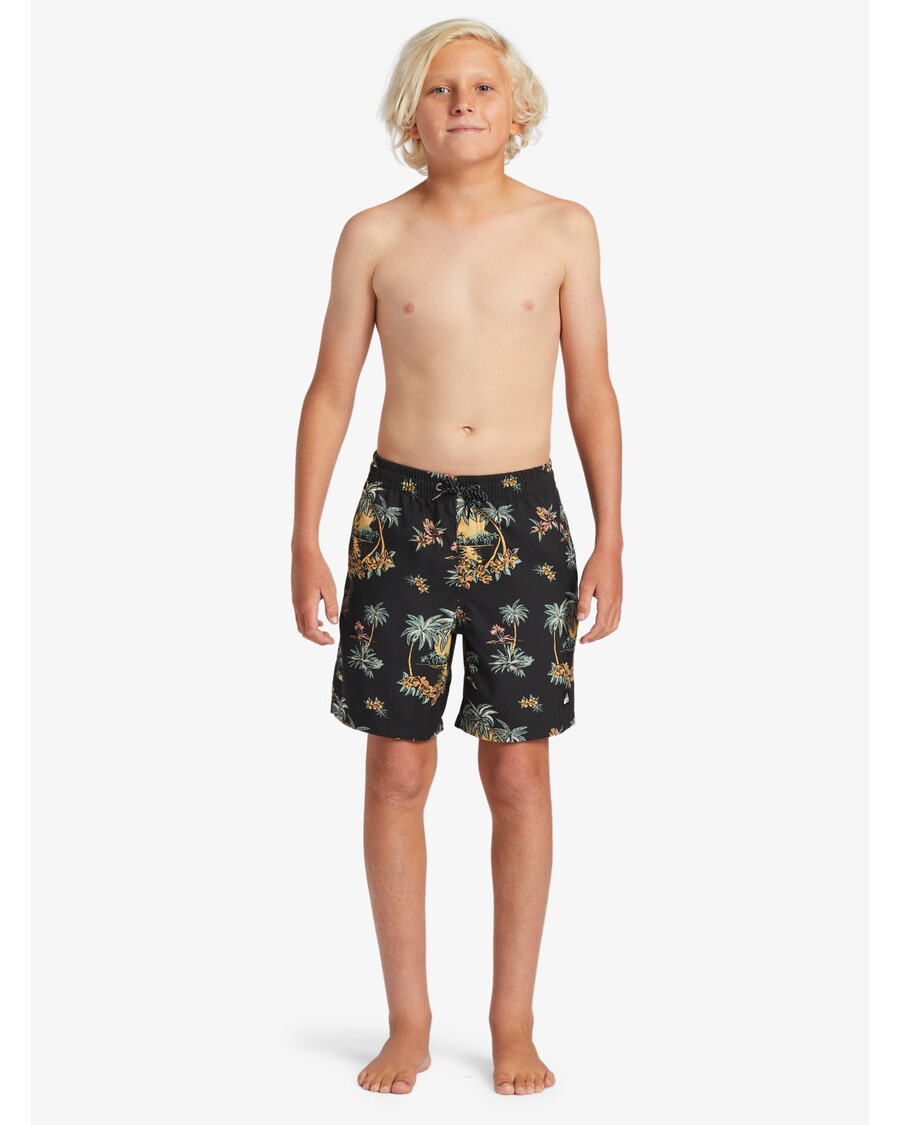 Quik Silver Boys 8-16 Everyday Mix Vl 15Nb Swim Trunks - Black Palm Spritz