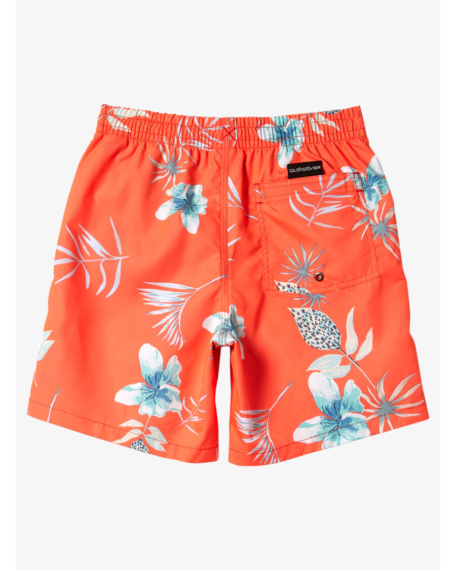 Quik Silver Boys 8-16 Everyday Mix Vl 15Nb Swim Trunks - Fiery Coral
