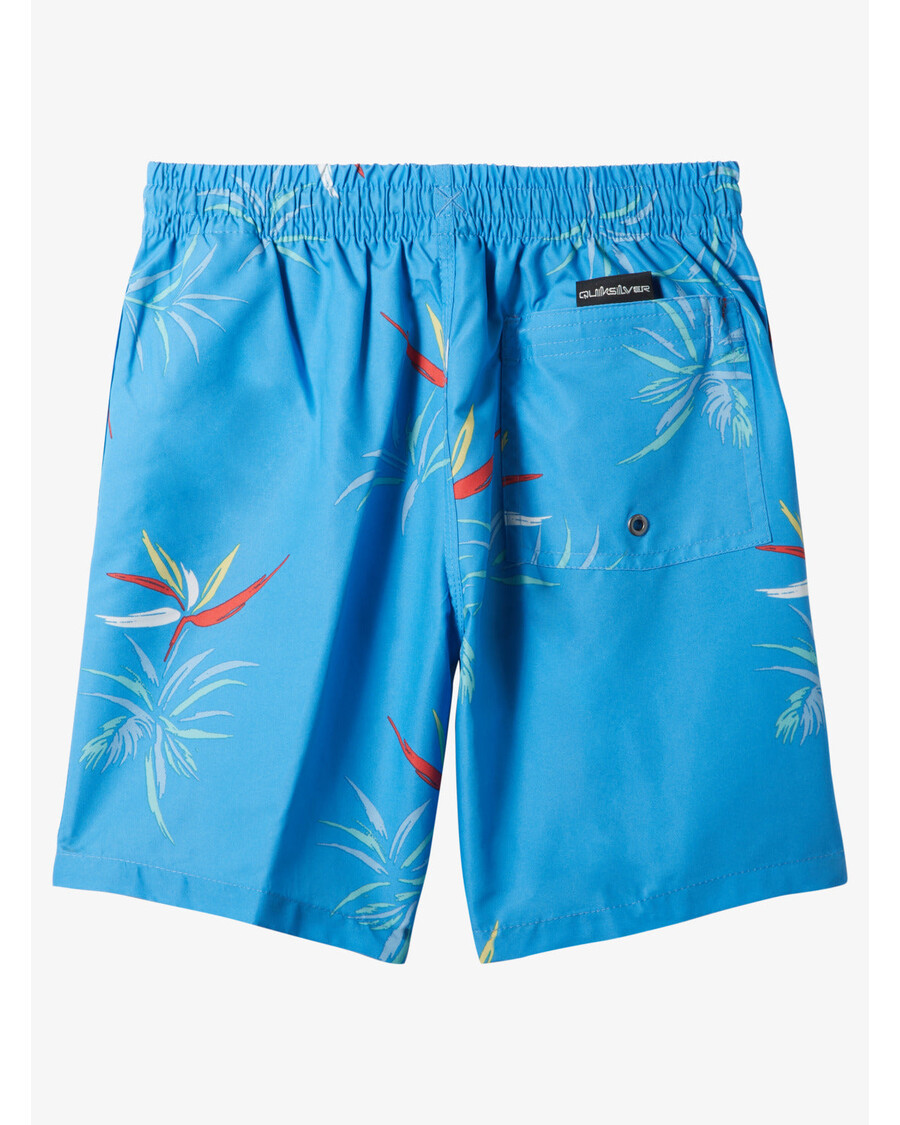 Kąpielówki Quiksilver Dla Chłopców W Wieku 8-16 Lat, 15-calowe, Na Co Dzień - Lazurowe