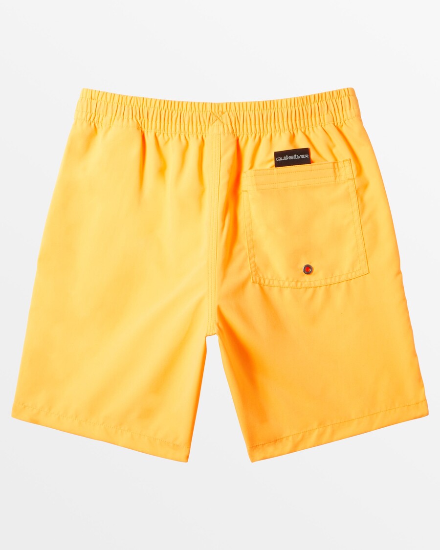 Quiksilver Boys 8-16 Everyday Vert 15" Badbyxor - Orange Pop