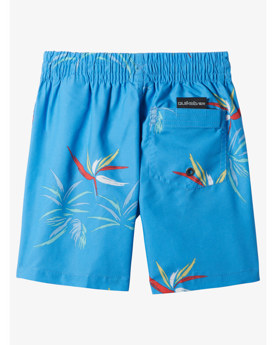 Quiksilver Boys 2-7 Daily Mix 12" Uimahousut - Taivaansininen