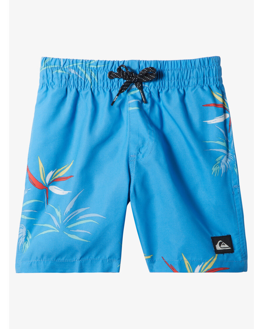 Quiksilver Boys 2-7 καθημερινή μίξη 12" μαγιό - γαλάζιο