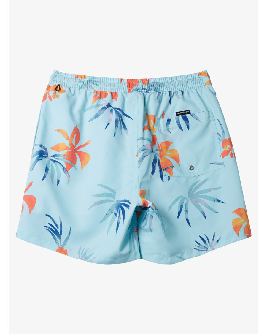 Quiksilver Boys 8-16 Daily Mix 14" Plavky - Limpet Shell