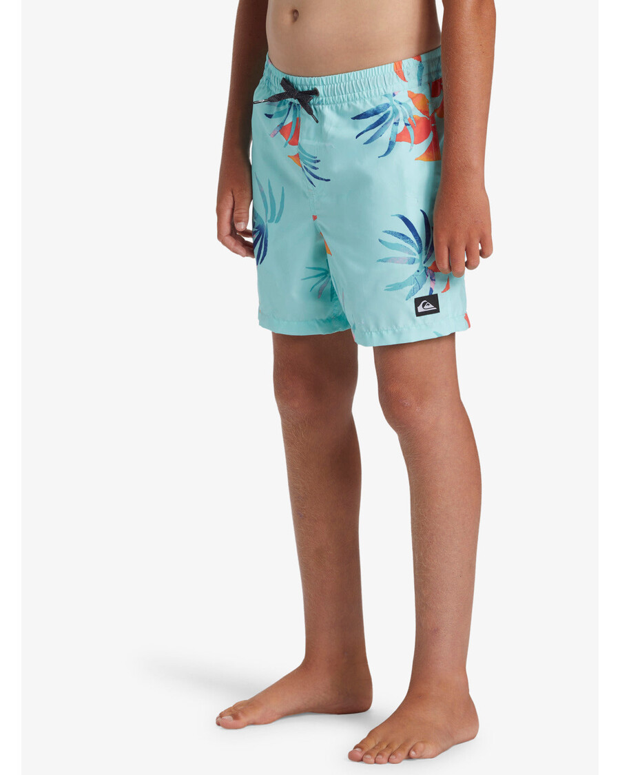 Quiksilver Boys 8-16 Daily Mix 14" Plavky - Limpet Shell