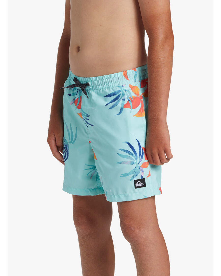 Quiksilver Boys 8-16 Daily Mix 14" Plavky - Limpet Shell