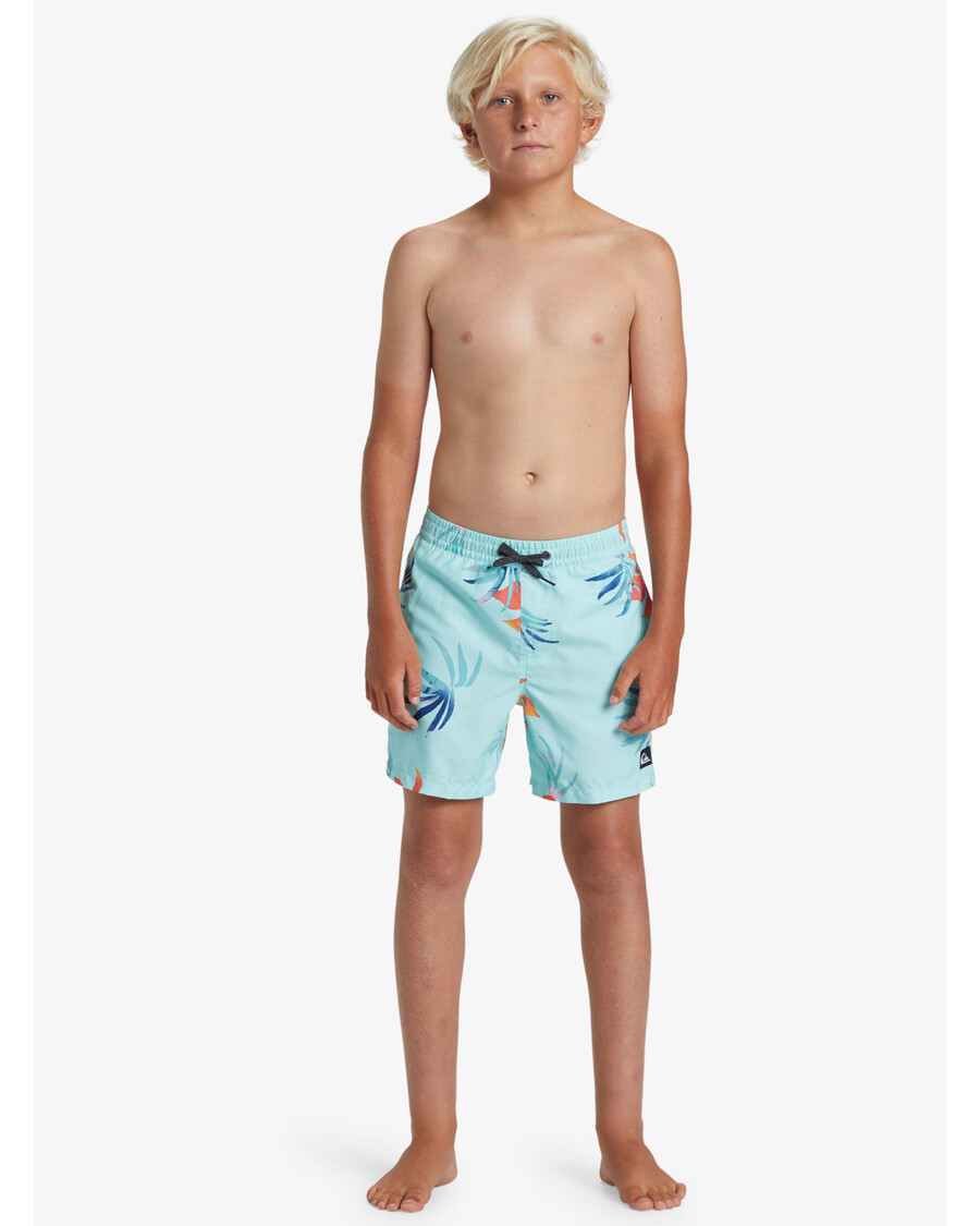 Quiksilver Boys 8-16 Daily Mix 14" Plavky - Limpet Shell