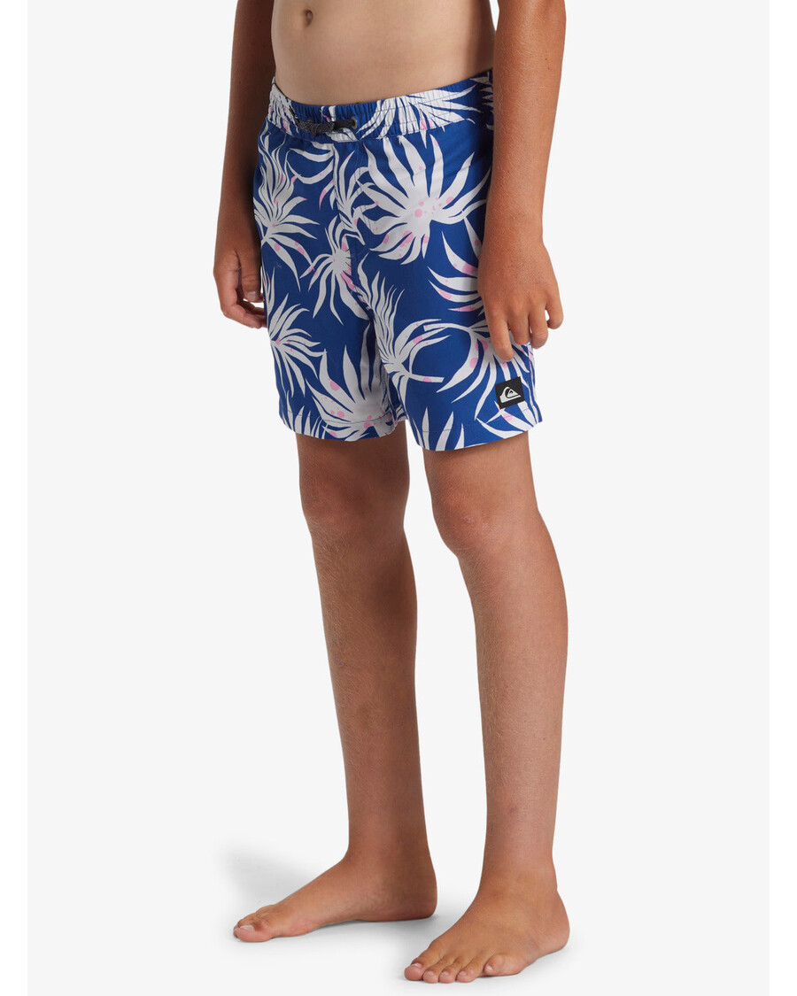 Quiksilver Pojat 8-16 Päivittäiset Mix 14" Uimahousut - Monacon Sininen