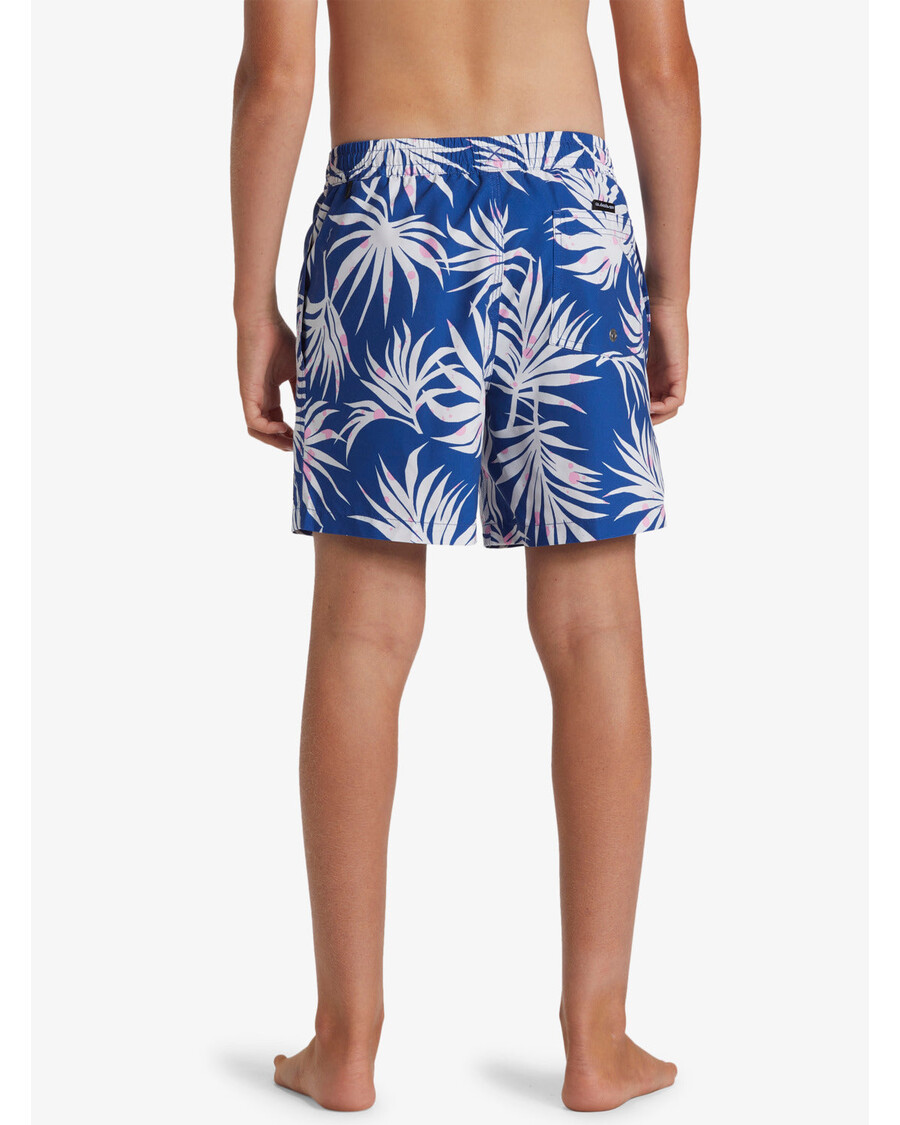 Quiksilver Pojat 8-16 Päivittäiset Mix 14" Uimahousut - Monacon Sininen