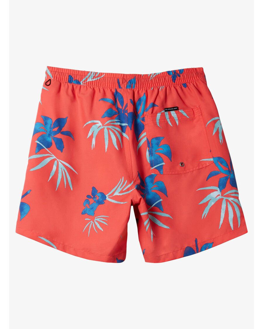 Quik Silver Boys 8-16 Everyday Mix 14" Swim Trunks - Cayenne