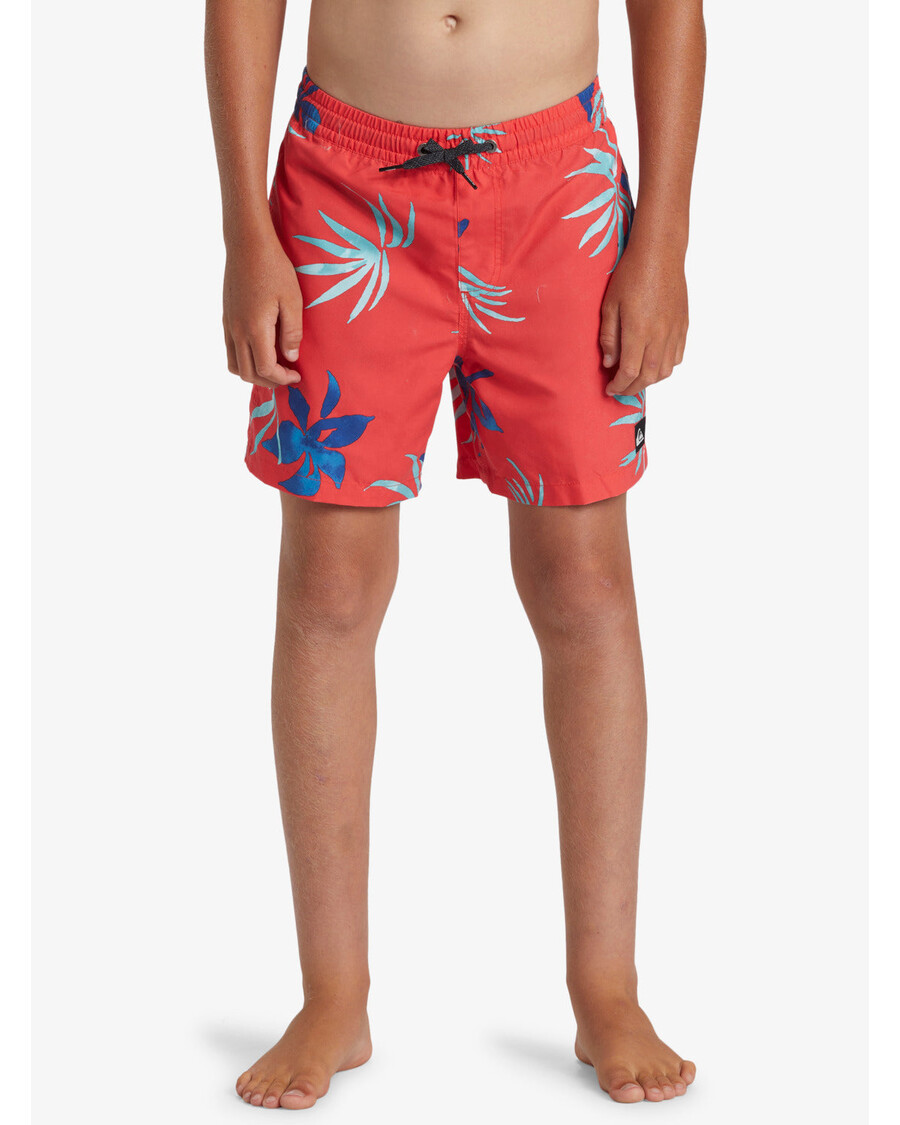 Quik Silver Boys 8-16 Everyday Mix 14" Swim Trunks - Cayenne