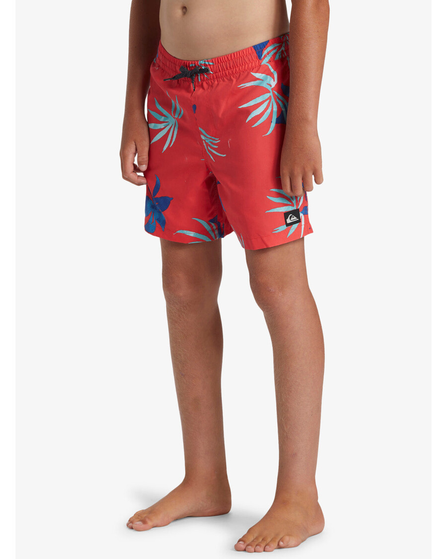 Quik Silver Boys 8-16 Everyday Mix 14" Swim Trunks - Cayenne