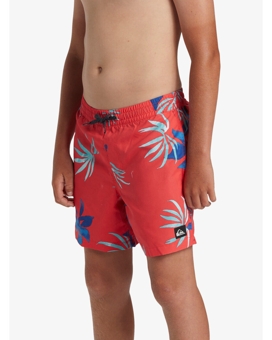 Quik Silver Boys 8-16 Everyday Mix 14" Swim Trunks - Cayenne