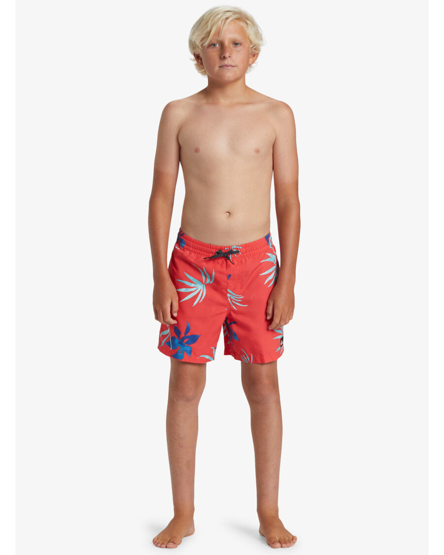 Quik Silver Boys 8-16 Everyday Mix 14" Swim Trunks - Cayenne