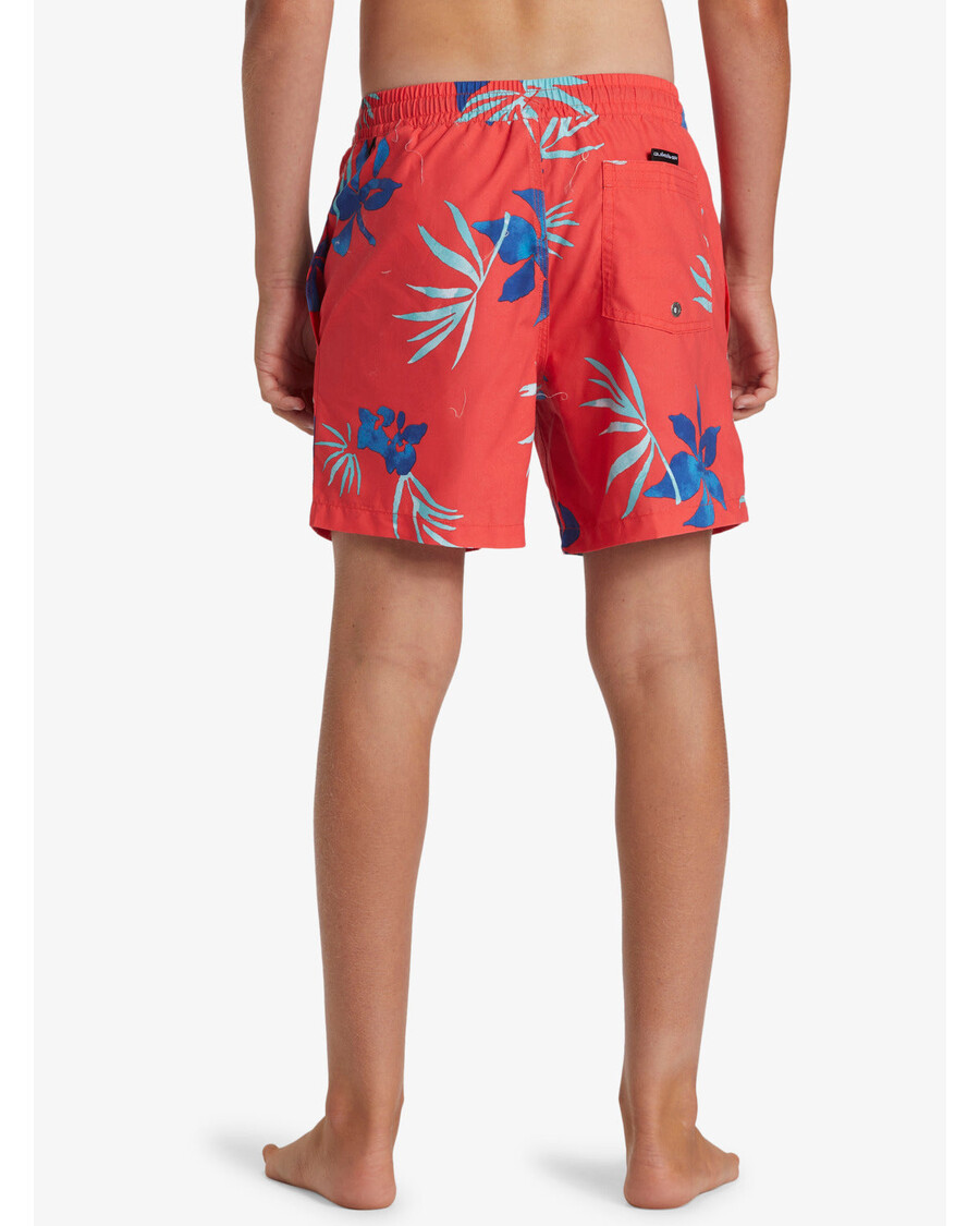 Quik Silver Boys 8-16 Everyday Mix 14" Swim Trunks - Cayenne