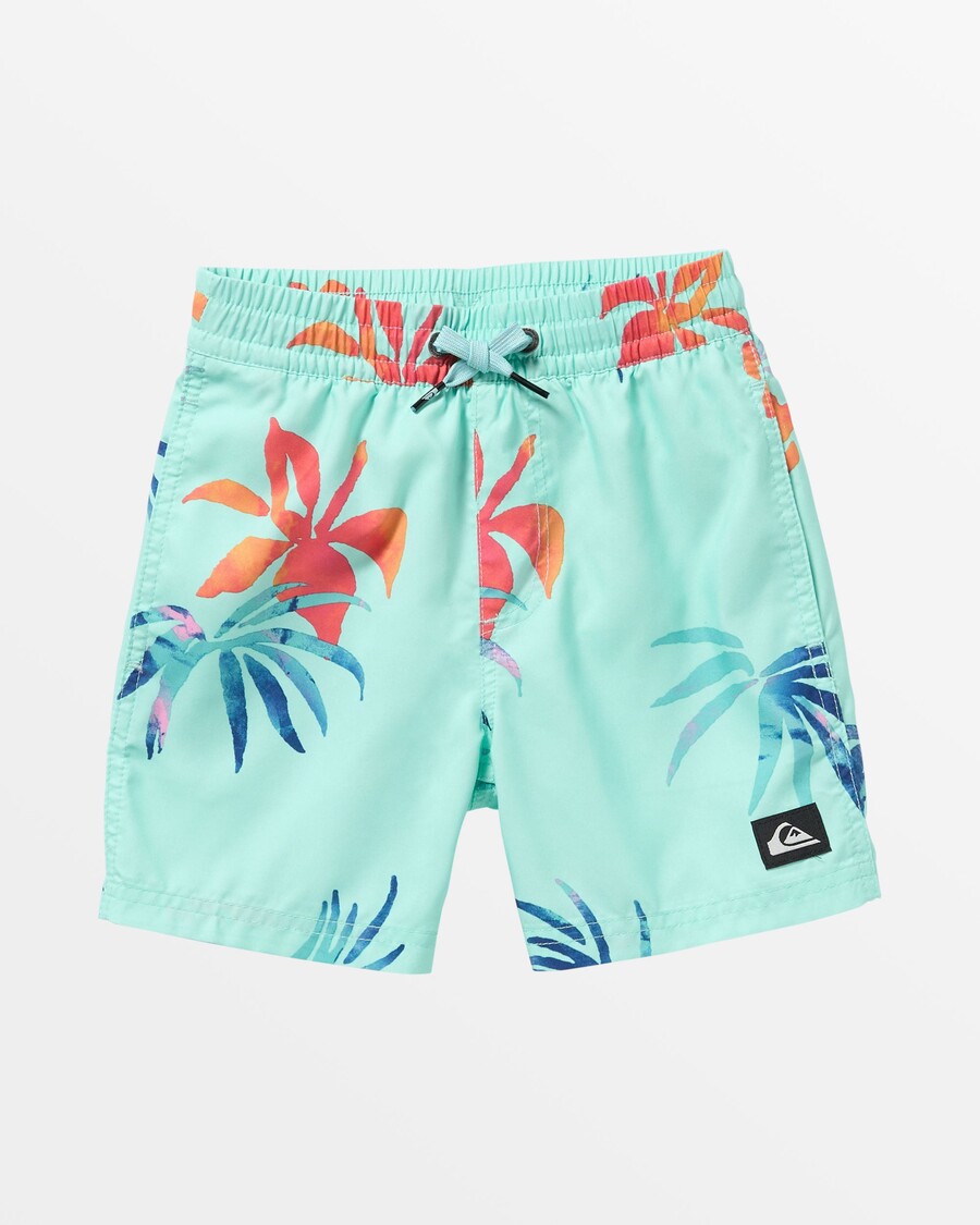 Quiksilver Dječaci 2-7 Svakodnevne Mješovite Odbojkaške Kupaće Hlače 12" - školjka Za Limpet