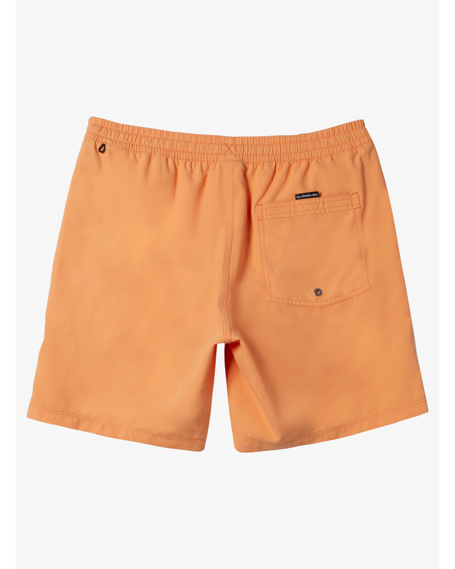 Quik Silver Boys 2-7 Everyday Solid Volley 12" Swim Trunks - Tangerine