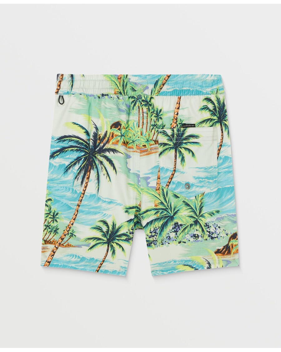 Quik Silver Boys 2-7 Everyday Mix Volley - Beach Glass