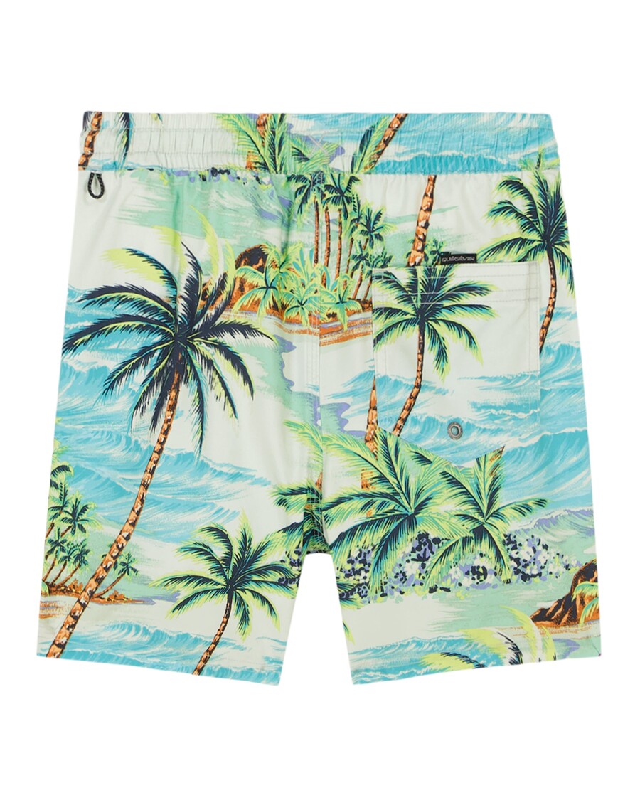 Quik Silver Boys 8-16 Everyday Mix Volley - Beach Glass